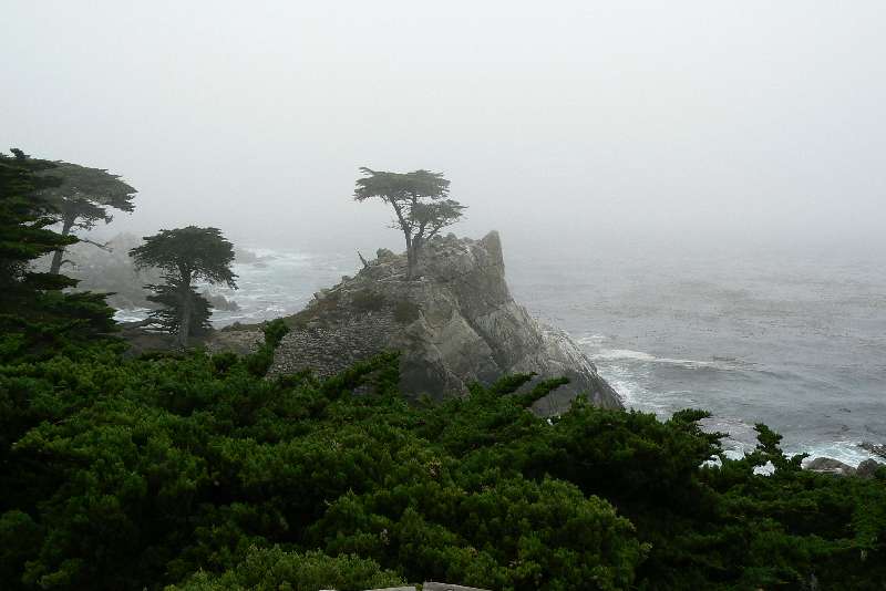 61 Costa sul Pacifico